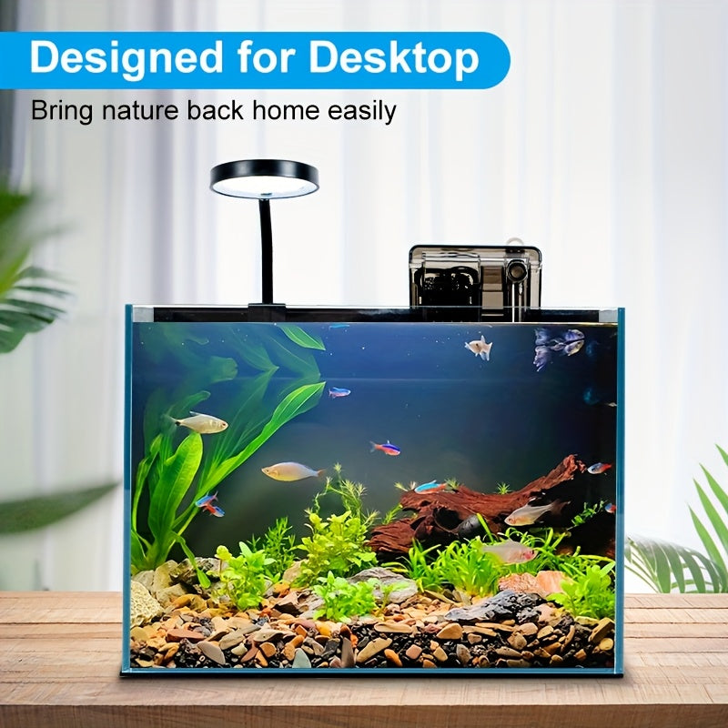 2.5 Gallon (Approx. 7.6L) Aquarium Kit-Ultra-Clear Frameless Desktop Fish Tank with Lighting, Filter, Gravel, And Rocks. Ideal for Small Fish, Shrimp, Or Betta. Full Version, Black
